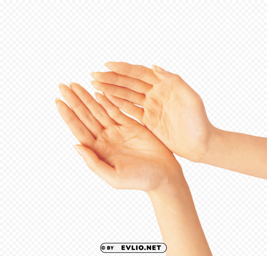 hand Transparent PNG Isolated Element with Clarity