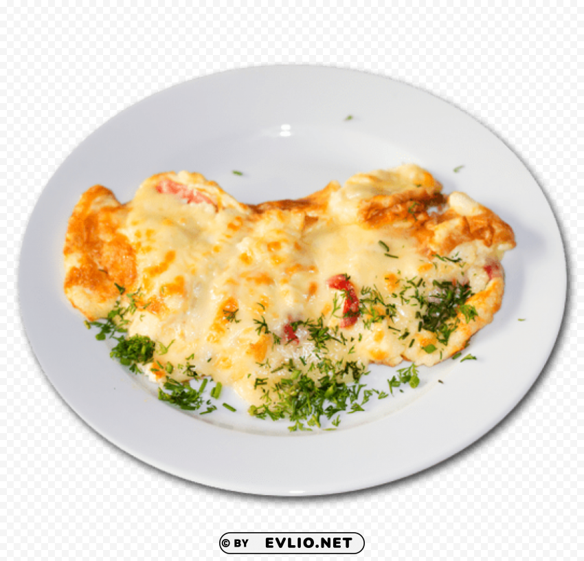 omelette fried PNG for educational use