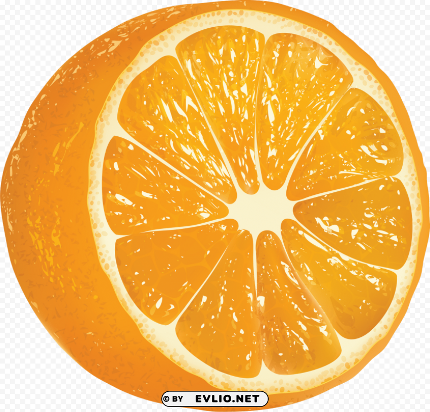 orange oranges Isolated Artwork with Clear Background in PNG