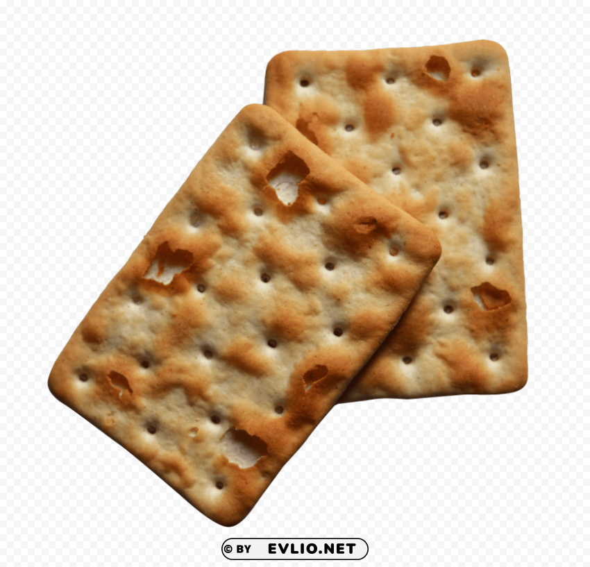 biscuit PNG file without watermark