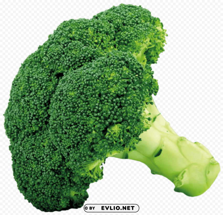 broccoli PNG images with no royalties