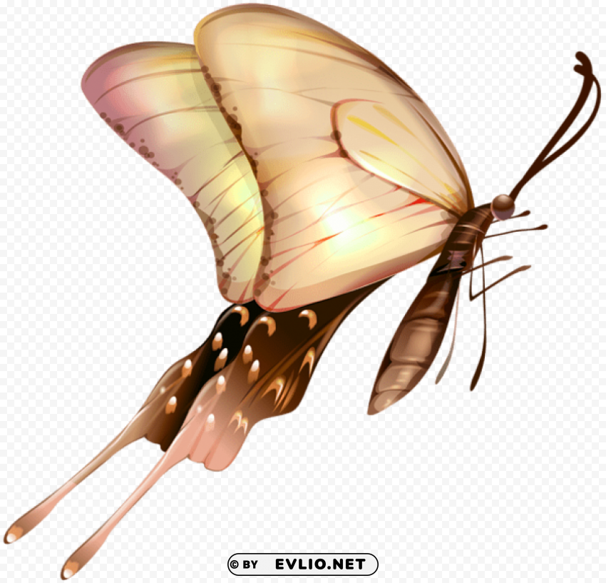 butterfly Isolated Item on Transparent PNG clipart png photo - 956f0ed9