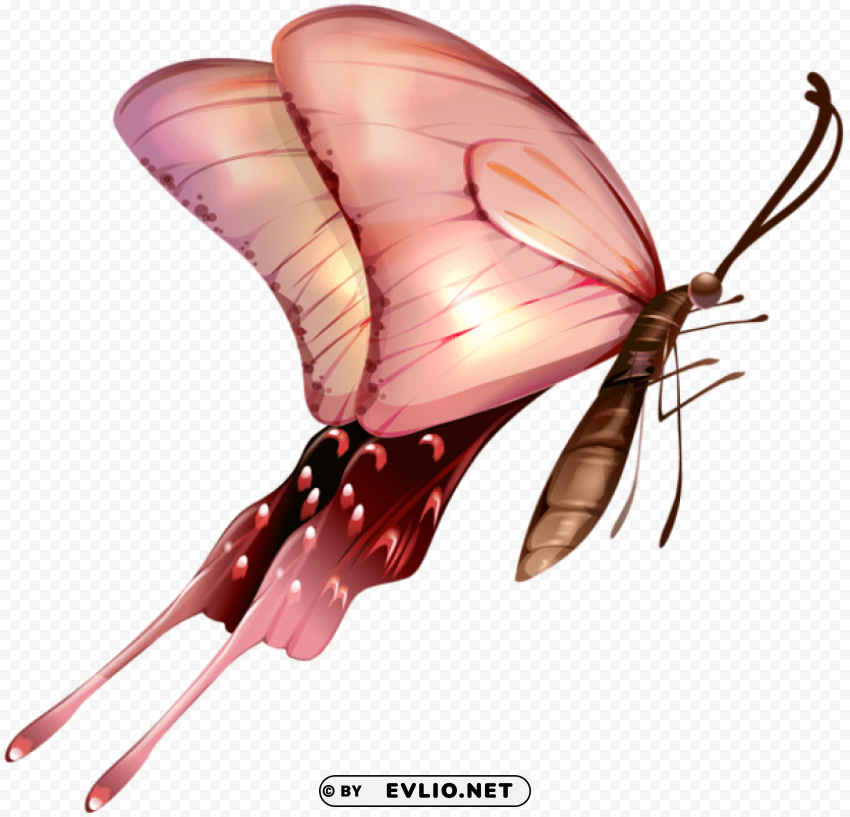 Butterfly Isolated Object In Transparent PNG Format