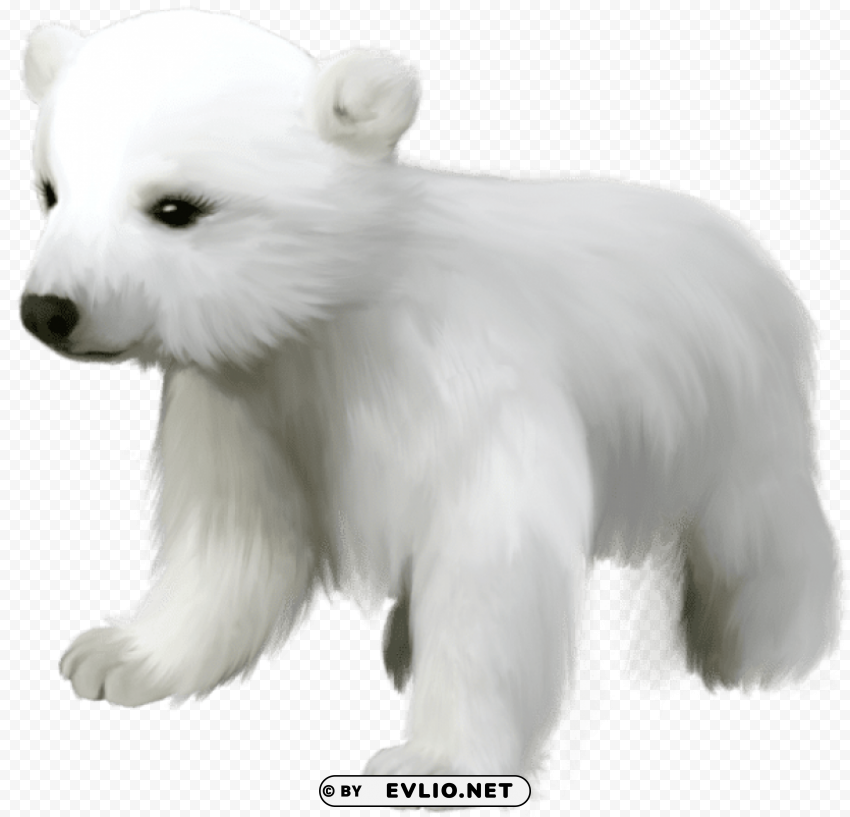 Cute Small Polar Bear PNG Files With Clear Background Collection