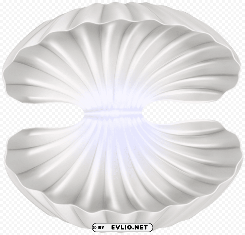 open clam shell PNG transparent elements compilation