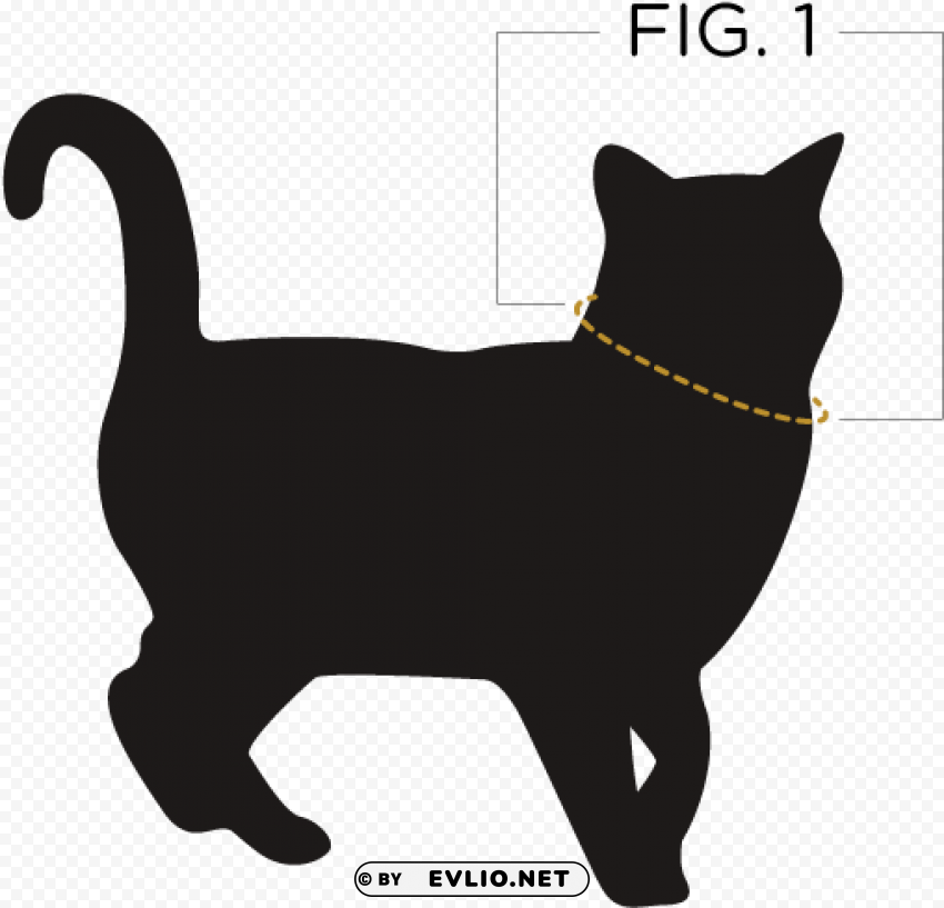 take the tape measure and wrap it around your cats - christmas poisons for pets HighQuality Transparent PNG Isolated Graphic Element PNG transparent with Clear Background ID 7e51e884