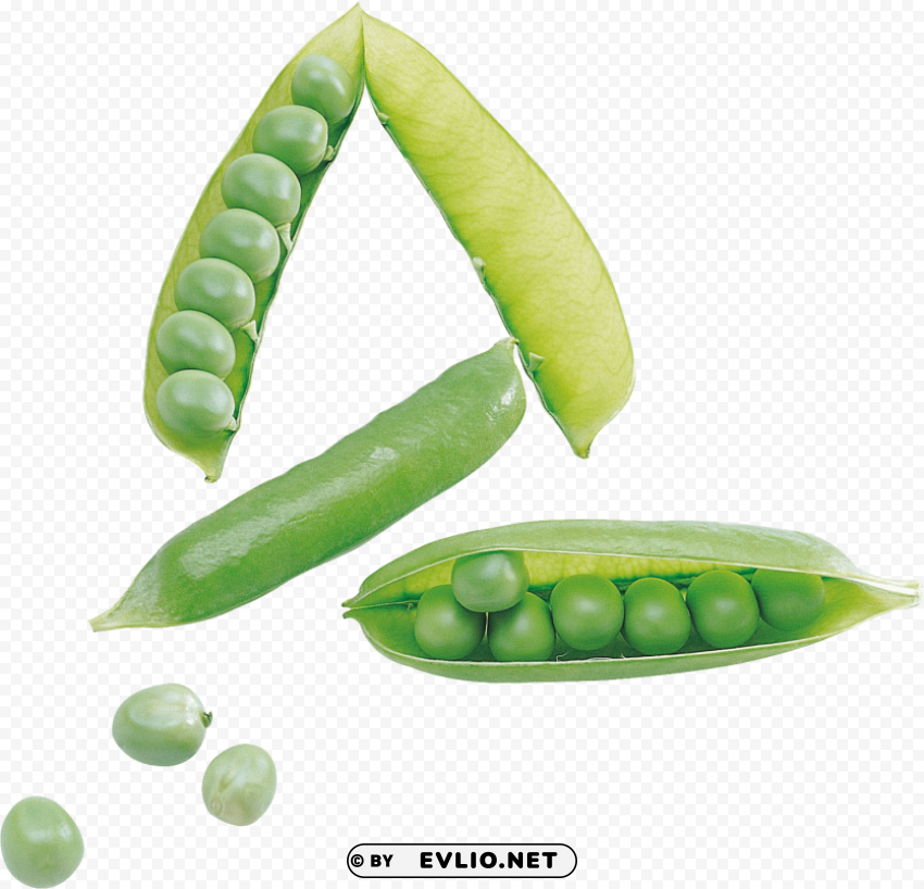 pea High Resolution PNG Isolated Illustration