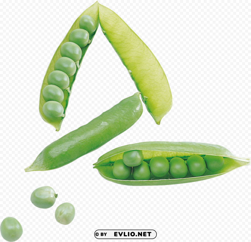 Pea High Resolution PNG Isolated Illustration