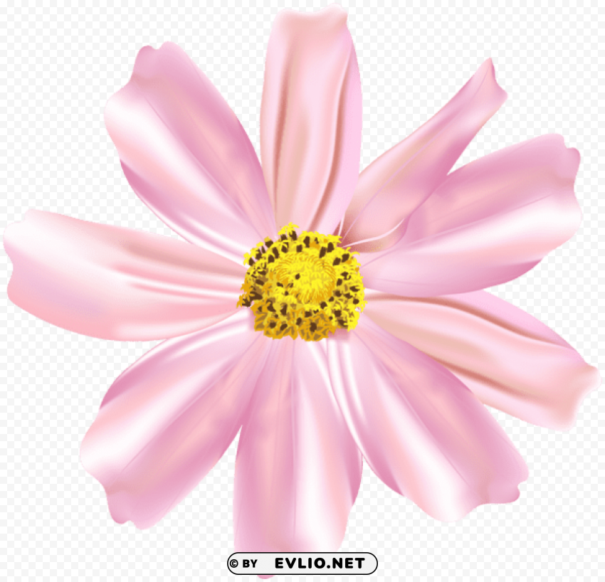 pink flower PNG for t-shirt designs