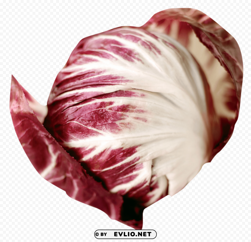 radicchio PNG format PNG images with transparent backgrounds - Image ID 39ed2ef1