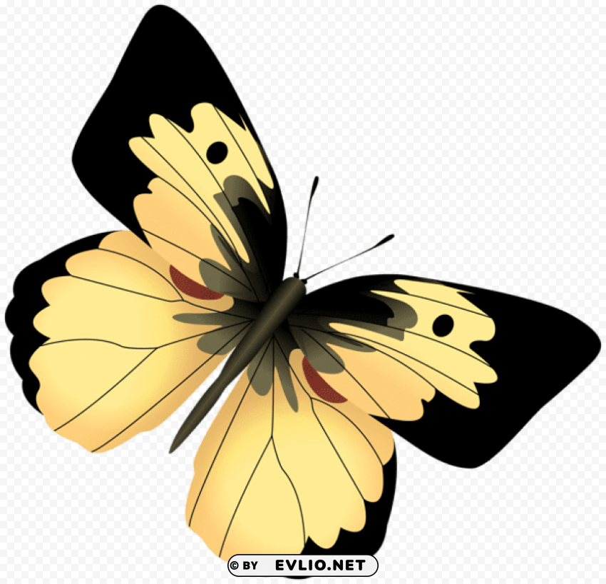 Yellow And Black Butterfly Clear PNG File