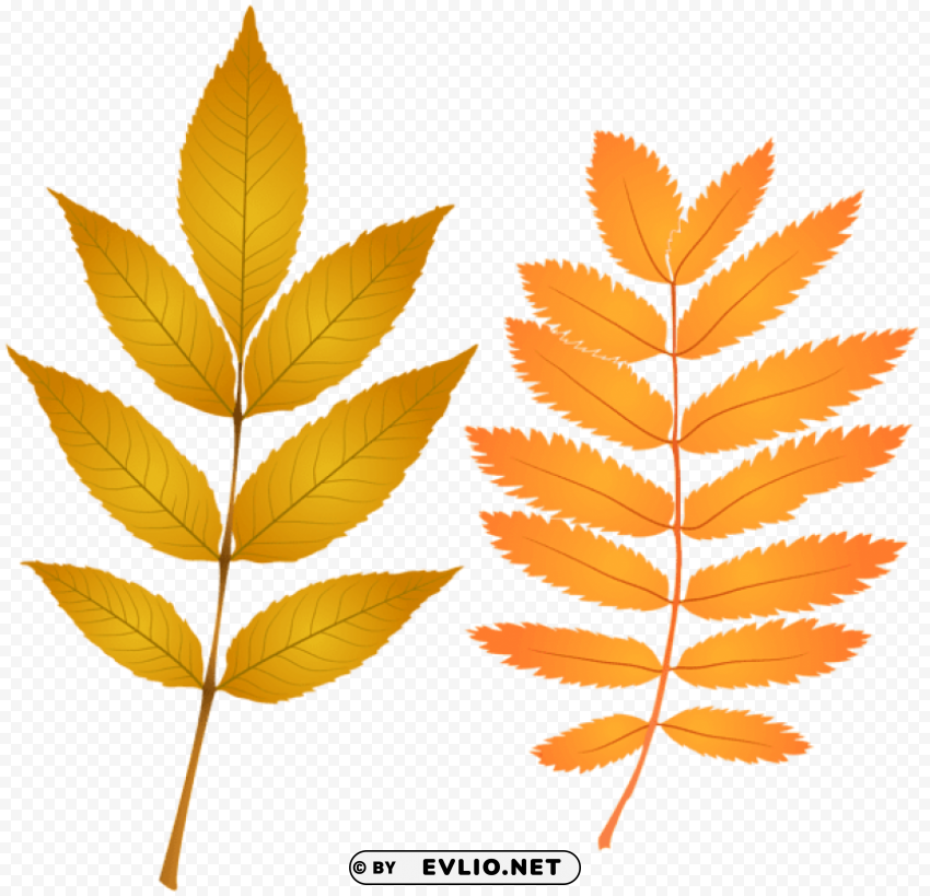 fall leaves PNG images with alpha transparency selection
