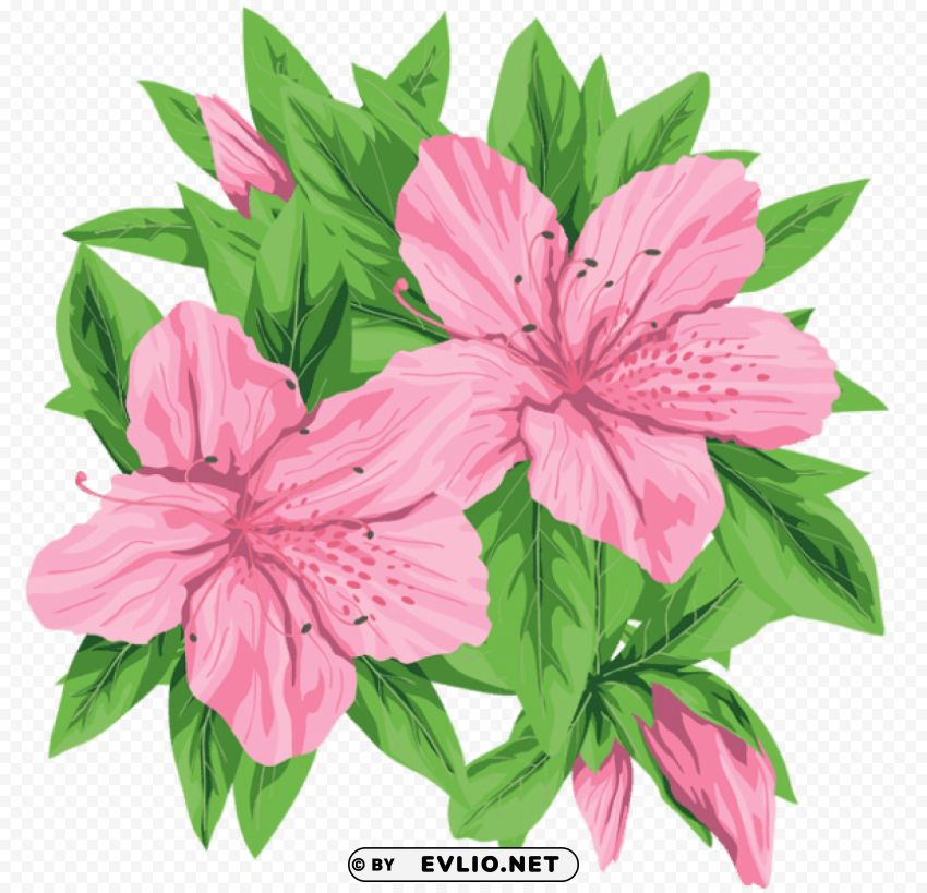 pink flowers clip-art ClearCut Background Isolated PNG Design