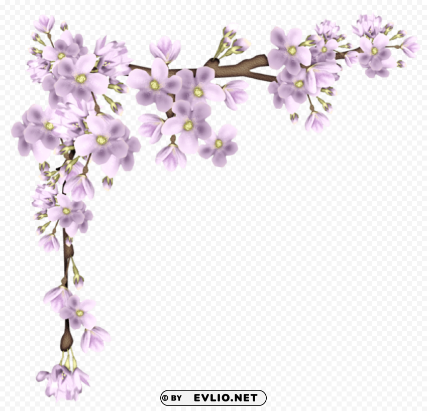 pink spring branch PNG images with alpha transparency wide selection