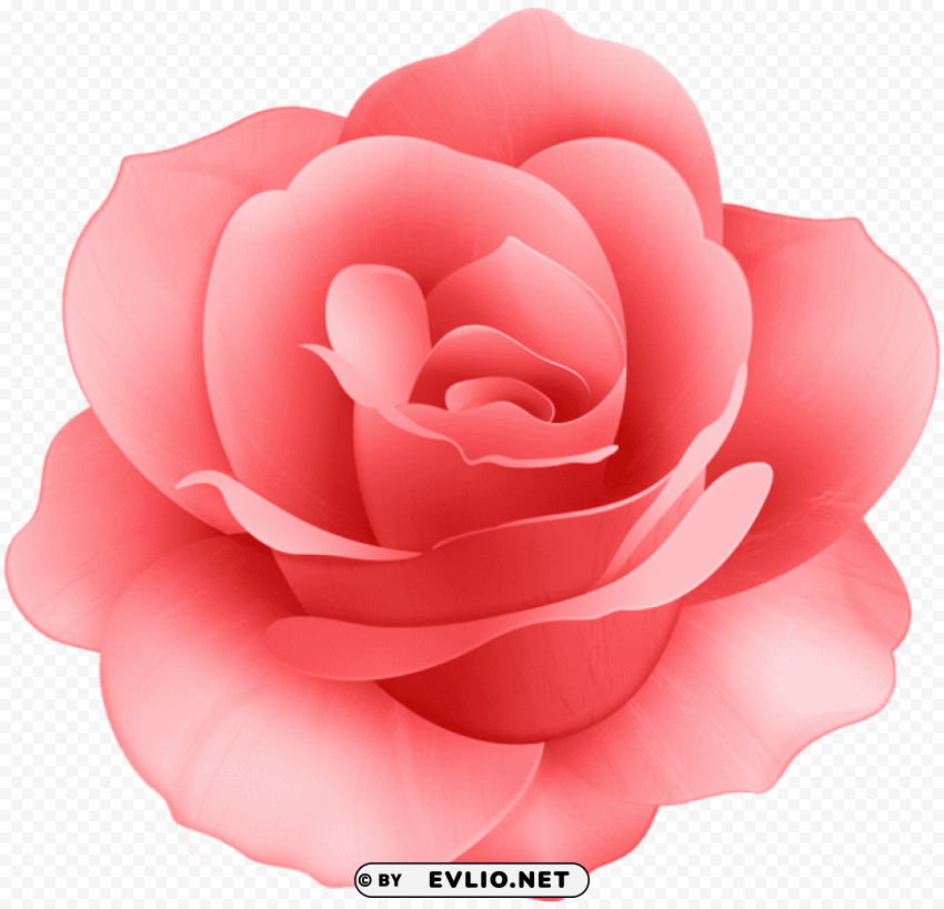 PNG image of red rose flower PNG images with transparent canvas compilation with a clear background - Image ID 89a6244b
