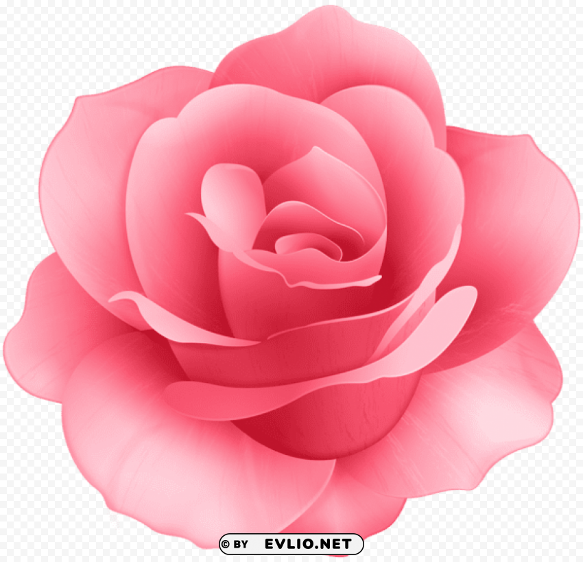 Rose Flower PNG Images With Transparent Elements Pack