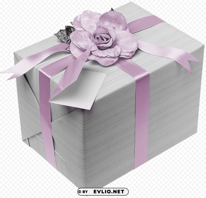 Silver With Pink Bow Isolated Item In HighQuality Transparent PNG