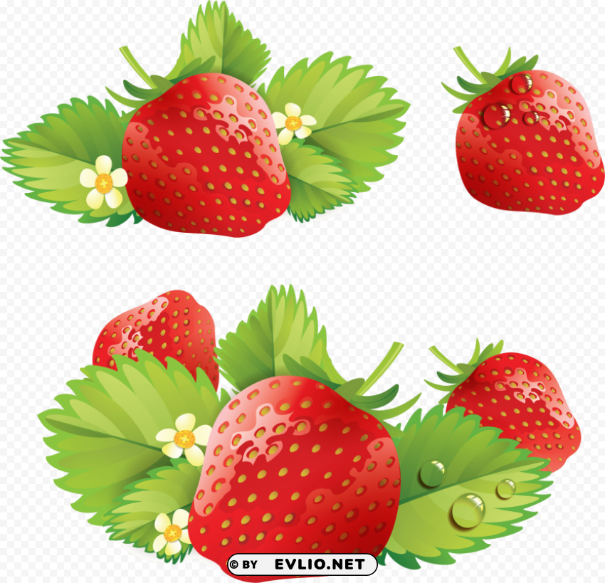 strawberry Clear image PNG clipart png photo - 00155b38