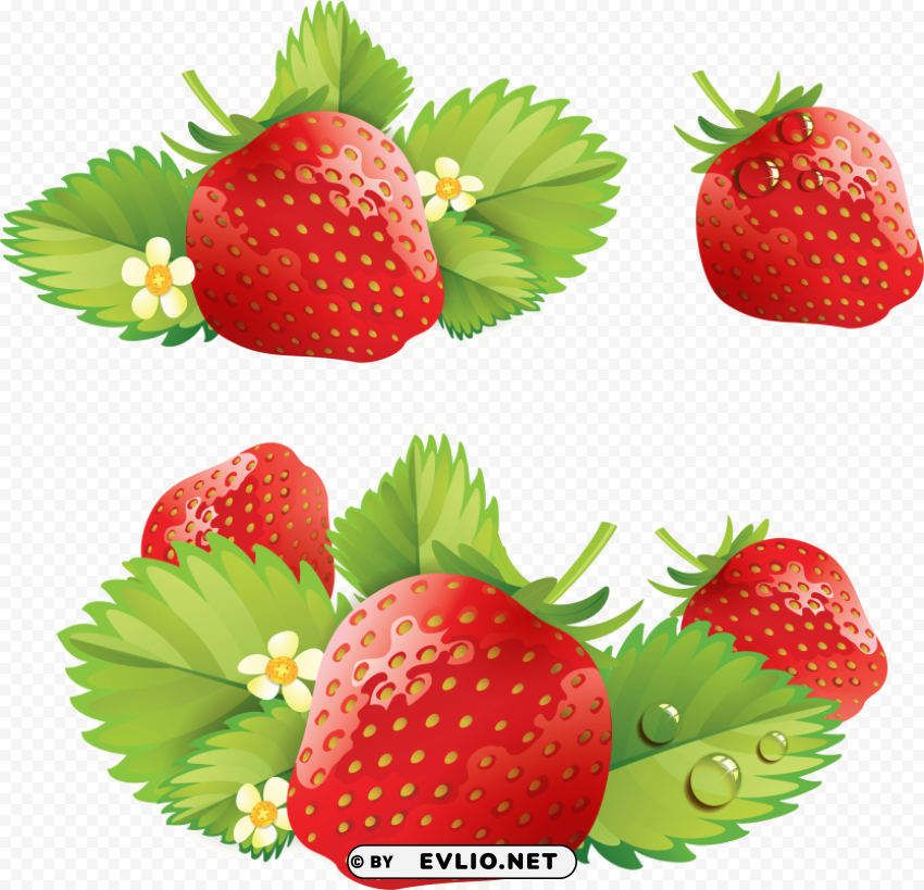 strawberry Transparent PNG Artwork with Isolated Subject