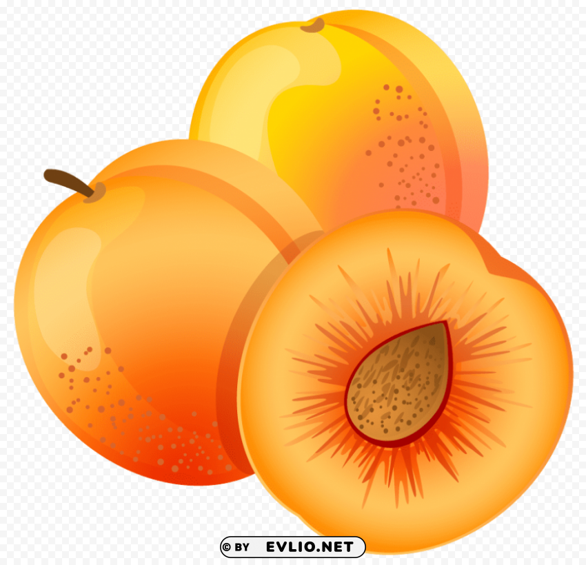 apricot Transparent PNG artworks for creativity