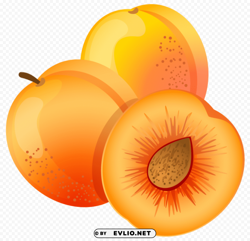 Apricot Transparent PNG Artworks For Creativity