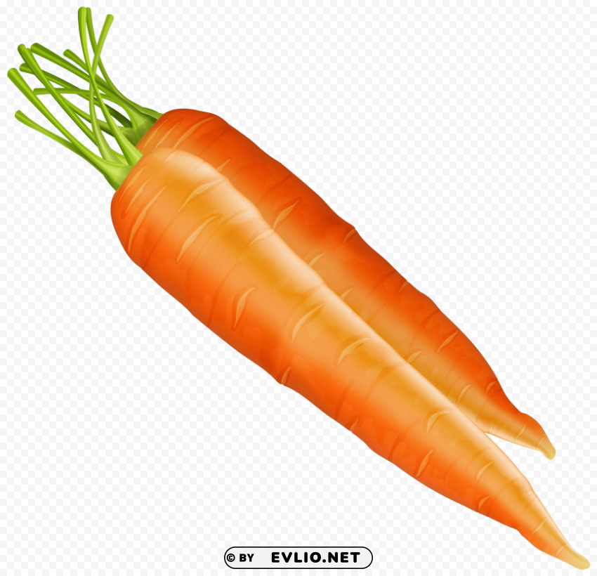 carrots ClearCut Background PNG Isolated Item