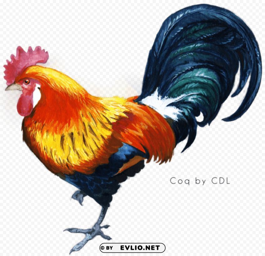 cock Free download PNG images with alpha channel diversity