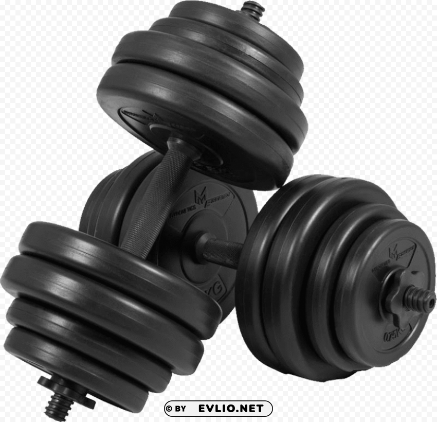 dumbbell hantel Transparent Background Isolation in HighQuality PNG