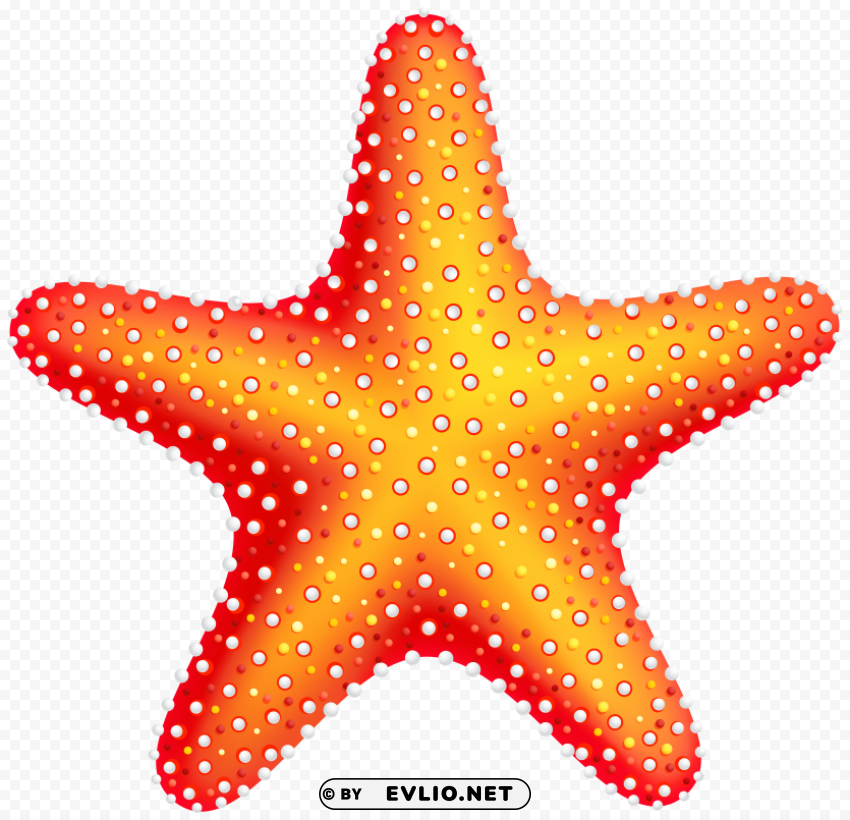 starfish Free download PNG images with alpha transparency