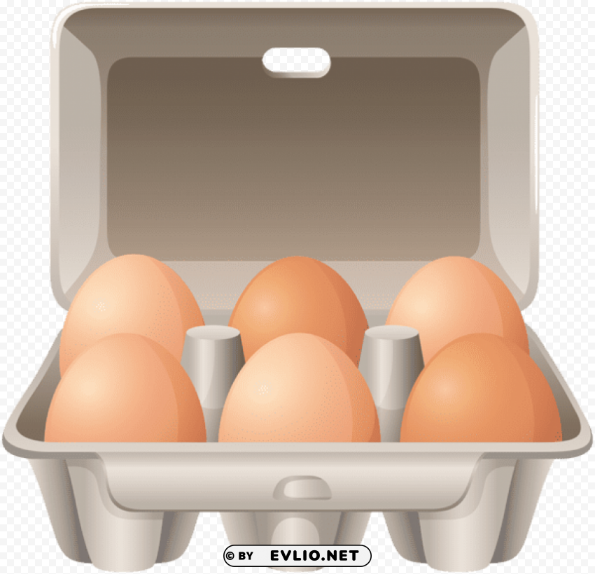 eggs in b ox Isolated Artwork on Clear Transparent PNG