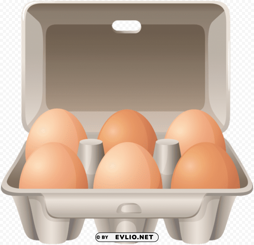 eggs in b ox Isolated Artwork on Transparent Background