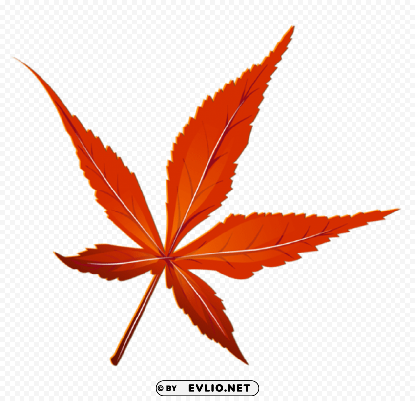  red leaf picture Transparent background PNG gallery