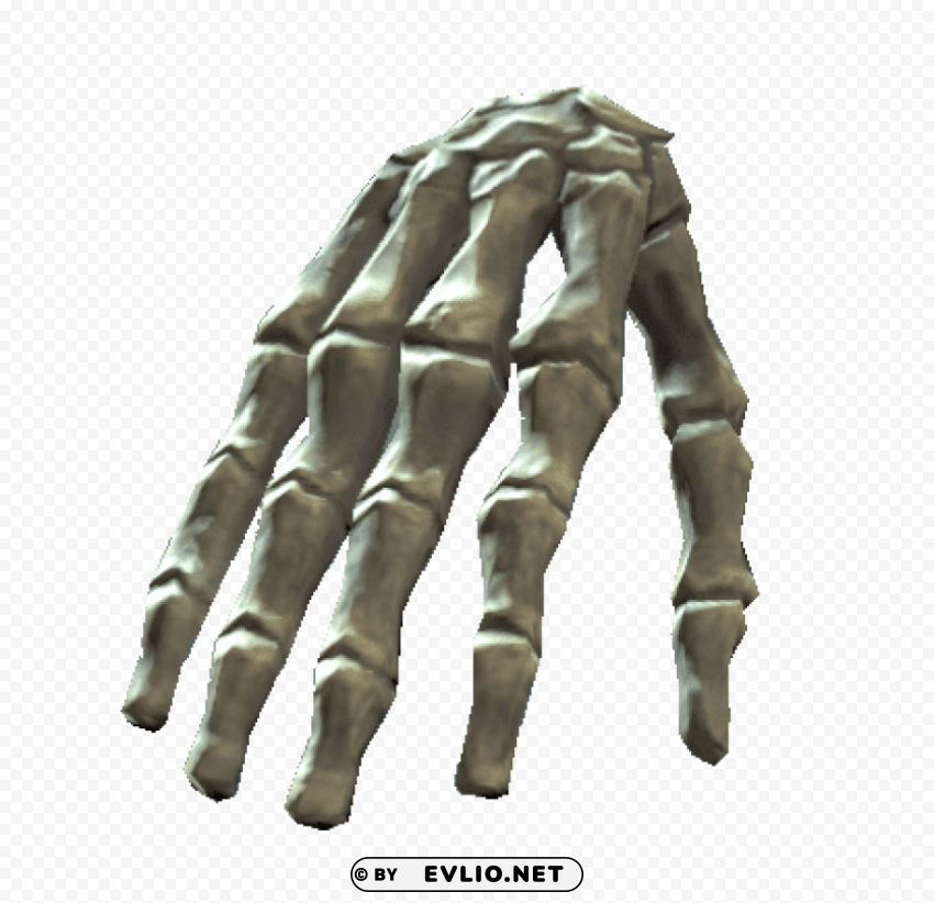 bones of the right hand PNG images with transparent space