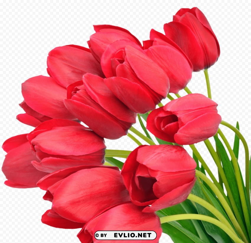 PNG image of bouquet of flowers High-resolution transparent PNG images comprehensive assortment with a clear background - Image ID 0b447c65