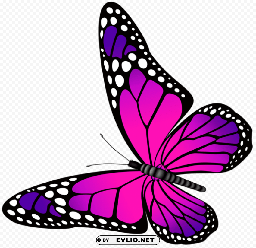 butterfly pink and purple transparent PNG images for websites
