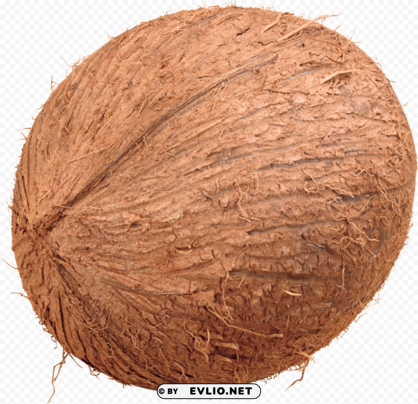 coconut Transparent Background PNG Isolation