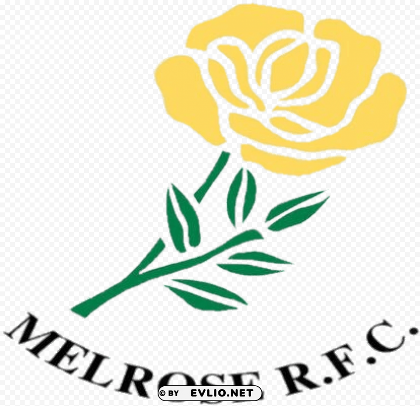 melrose rugby logo Isolated Element on HighQuality Transparent PNG