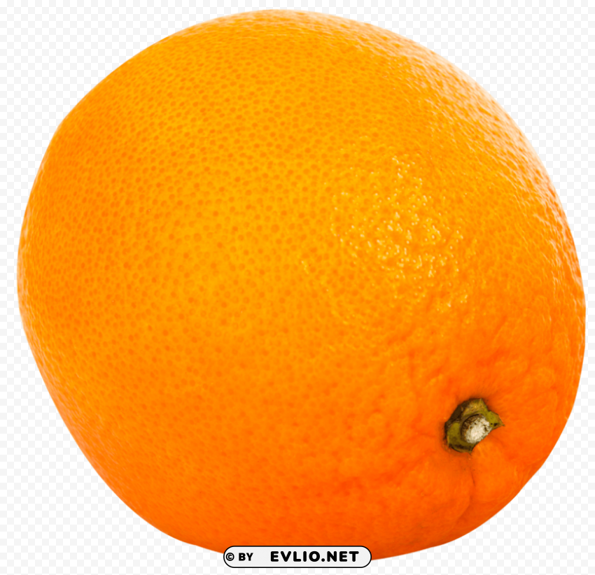 Orange PNG Image with Clear Background Isolated