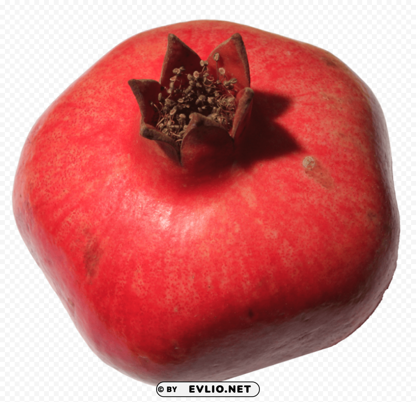 pomegranate Isolated Design Element on Transparent PNG