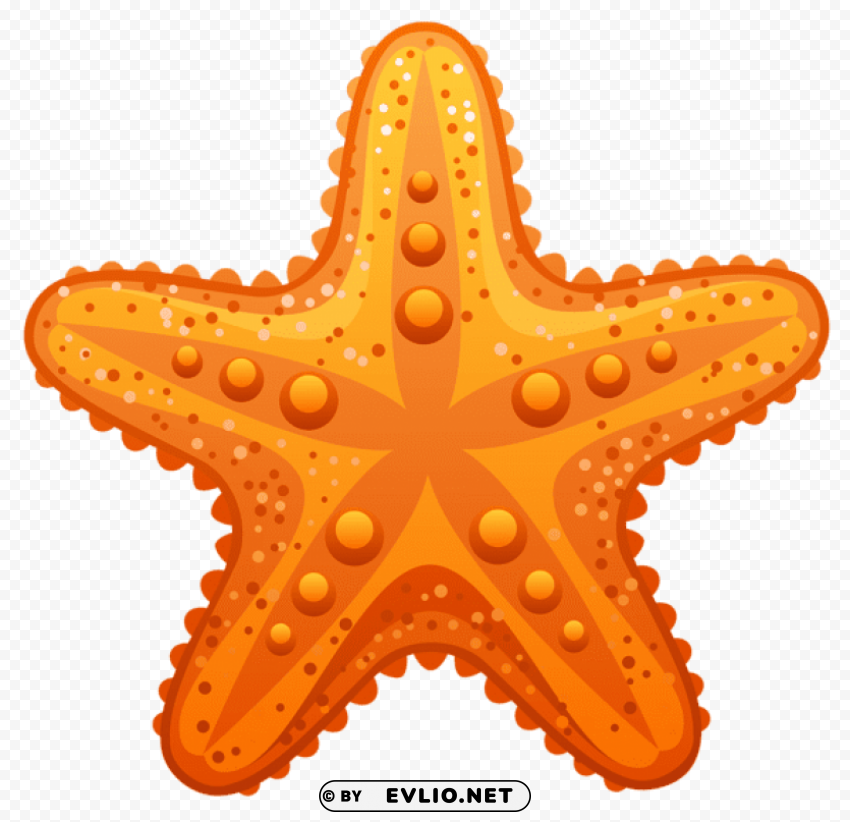  starfish Transparent Background Isolated PNG Design