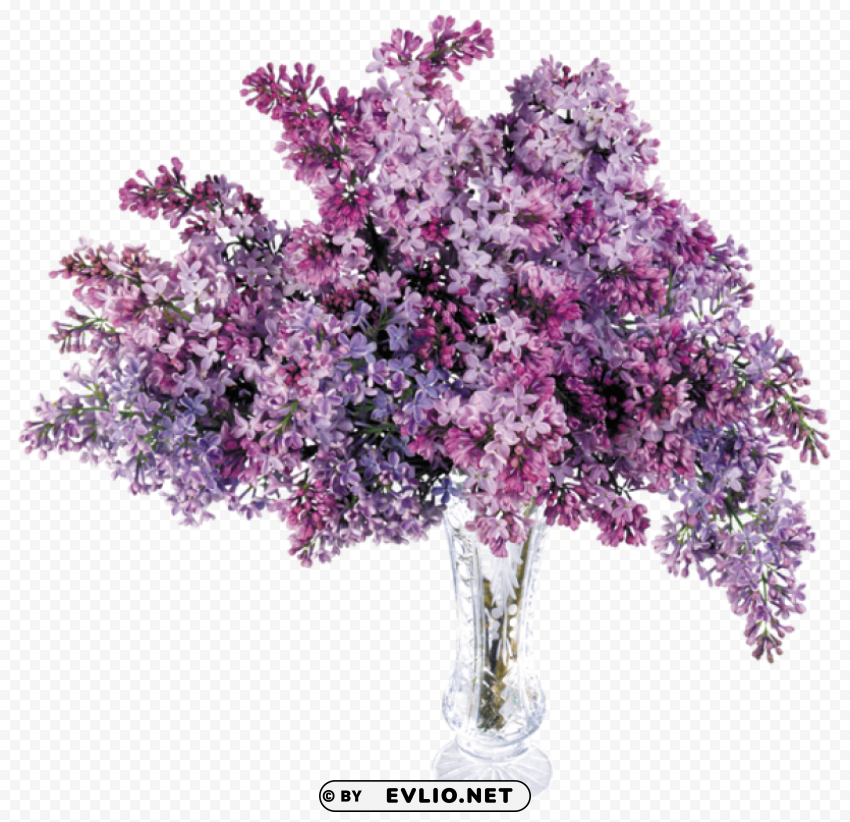  vase with lilac Transparent PNG graphics complete collection