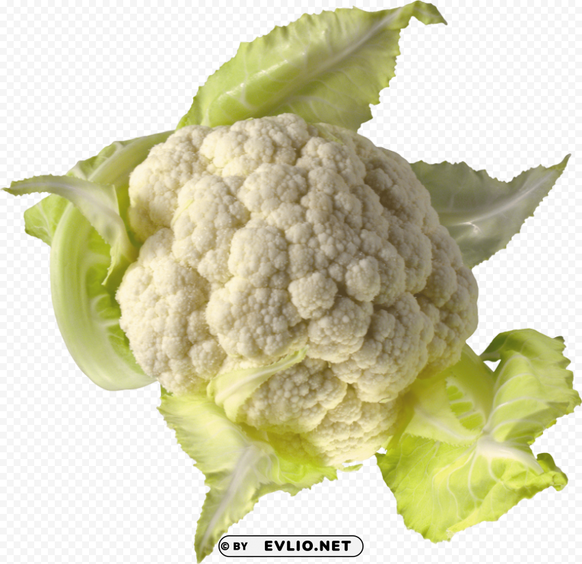 cauliflower PNG images with transparent canvas variety