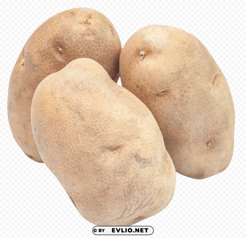 potato Clear PNG graphics