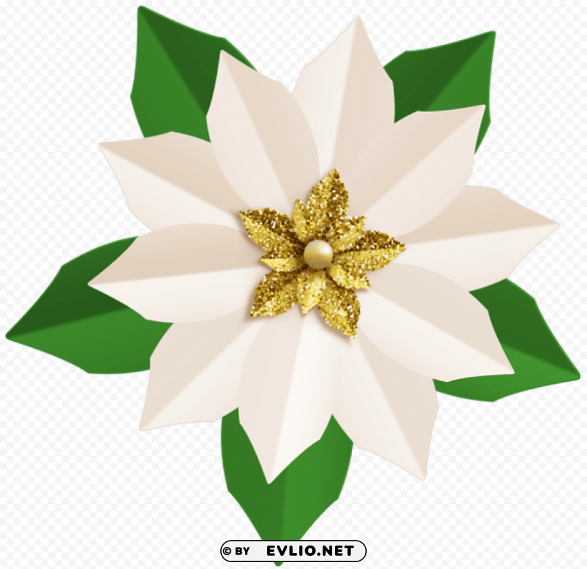christmas white poinsettia Transparent Background Isolated PNG Illustration