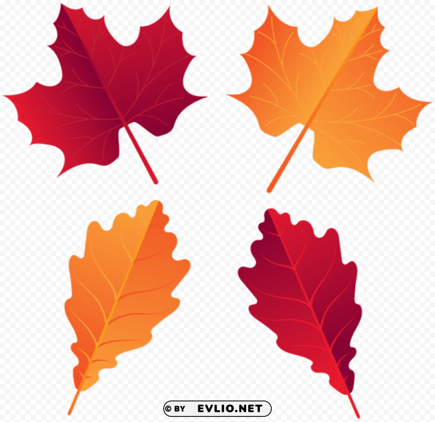 fall deco leaves PNG images with alpha channel selection