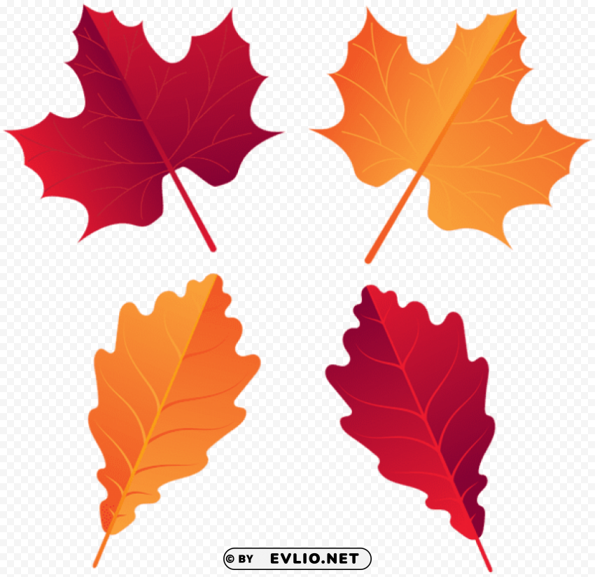 Fall Deco Leaves PNG Images With Alpha Channel Selection