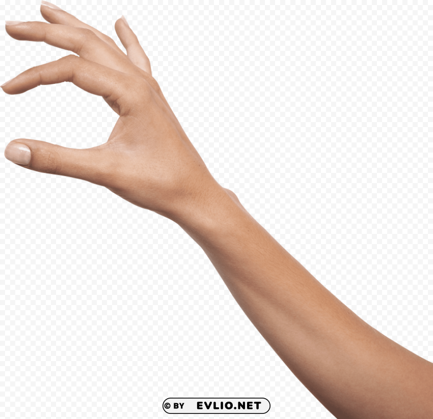 Hands Isolated Artwork With Clear Background In PNG