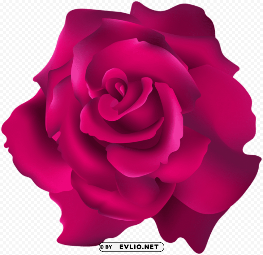 PNG image of pink rose transparent Clear Background PNG Isolated Graphic with a clear background - Image ID 91638811