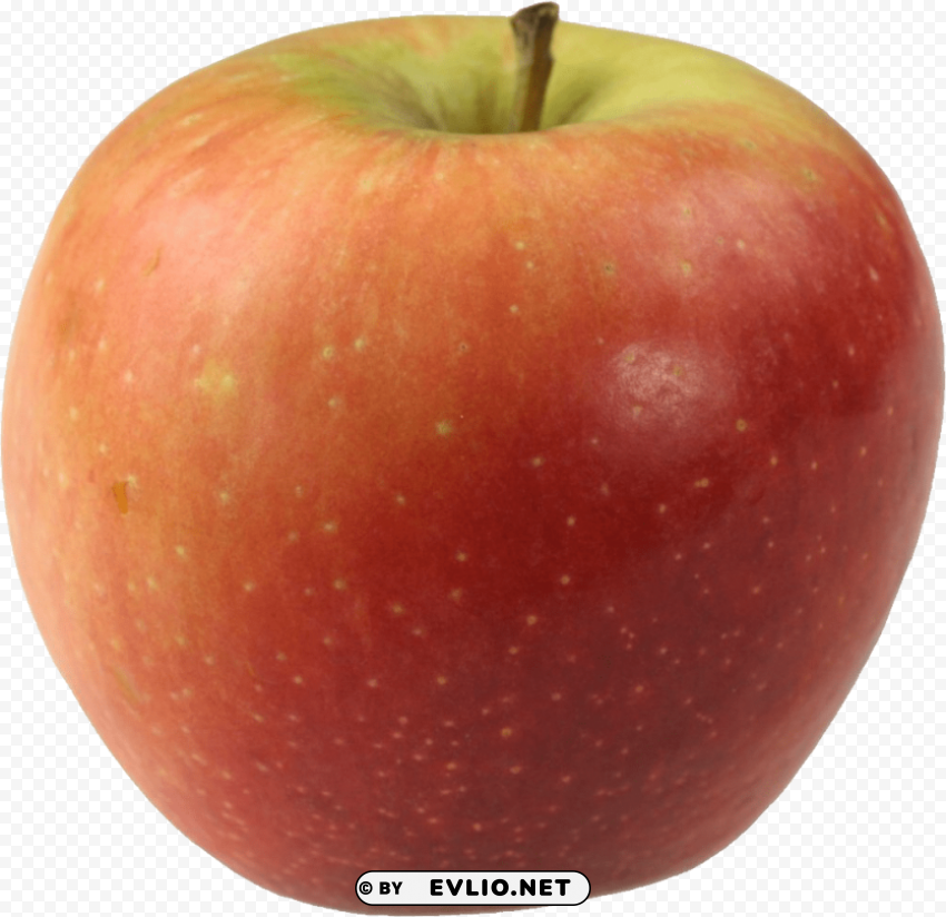 red apple PNG file with no watermark