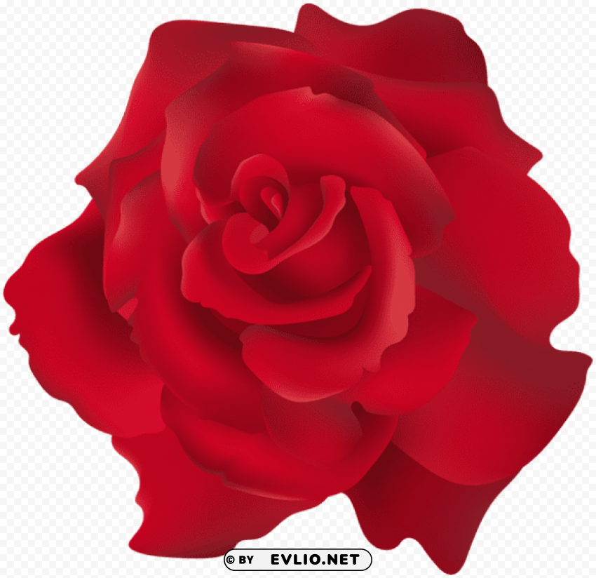 Red Rose Transparent Clear Background PNG Clip Arts
